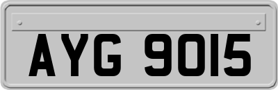 AYG9015