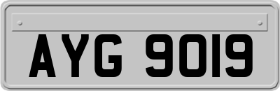 AYG9019