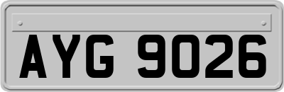 AYG9026