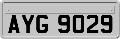 AYG9029