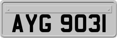 AYG9031