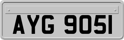 AYG9051