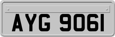 AYG9061