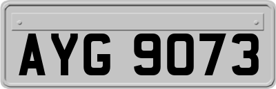 AYG9073