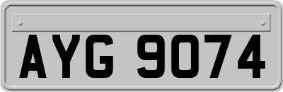 AYG9074