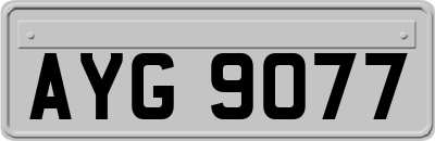 AYG9077