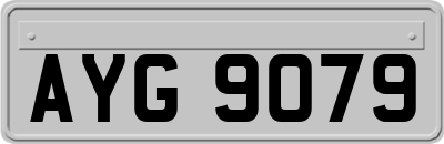 AYG9079