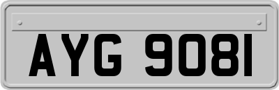 AYG9081