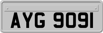 AYG9091