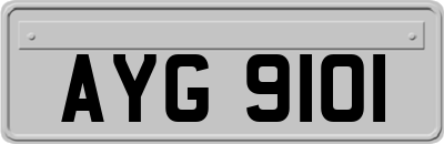 AYG9101