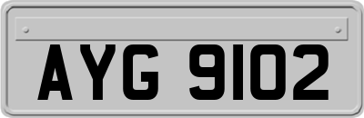 AYG9102