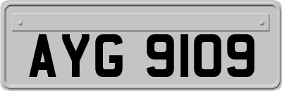 AYG9109