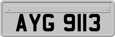 AYG9113