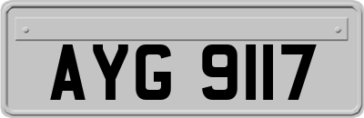 AYG9117