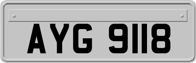 AYG9118