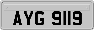 AYG9119