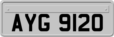 AYG9120