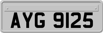 AYG9125