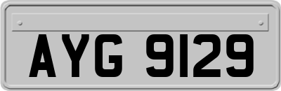 AYG9129