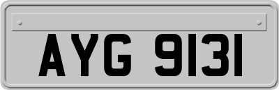 AYG9131