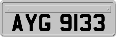 AYG9133