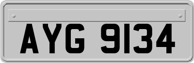 AYG9134