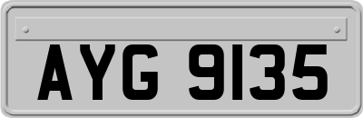 AYG9135