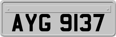 AYG9137
