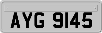 AYG9145