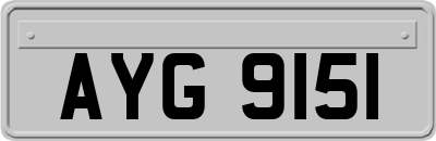 AYG9151