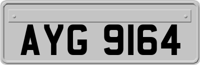 AYG9164