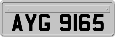 AYG9165