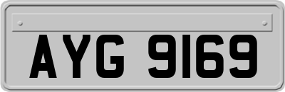AYG9169