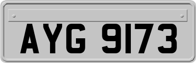 AYG9173