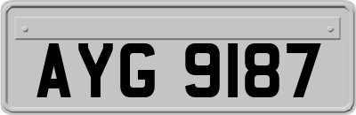 AYG9187