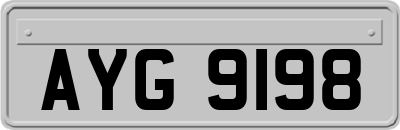 AYG9198