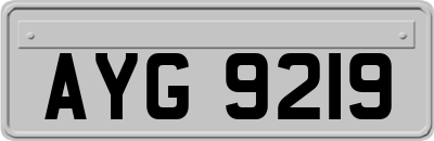AYG9219