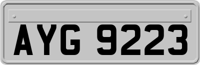 AYG9223