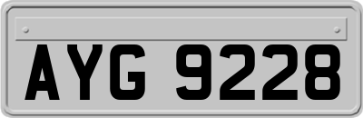AYG9228