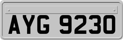 AYG9230