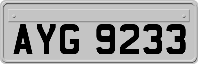 AYG9233