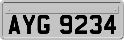 AYG9234