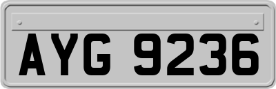 AYG9236