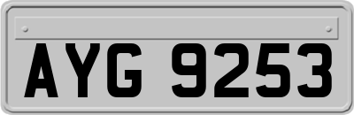 AYG9253