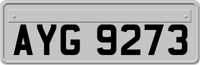 AYG9273