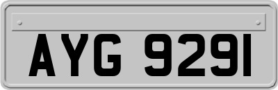 AYG9291