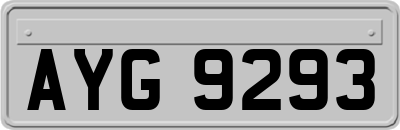 AYG9293