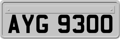 AYG9300