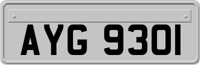 AYG9301