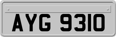 AYG9310